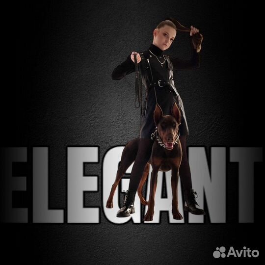 Фотосессия с доберманом