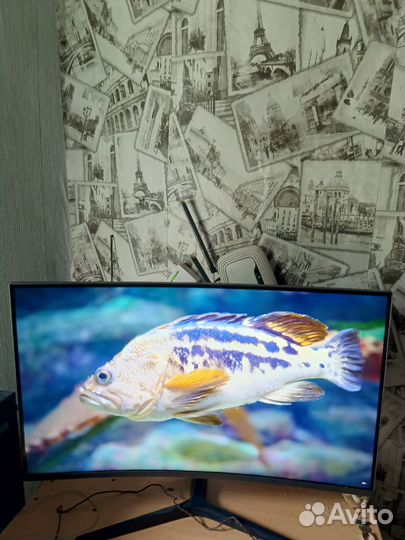 Монитор Samsung 32 дюйма 2K 144Hz