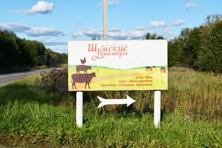 Участок 9,2 сот. (СНТ, ДНП)