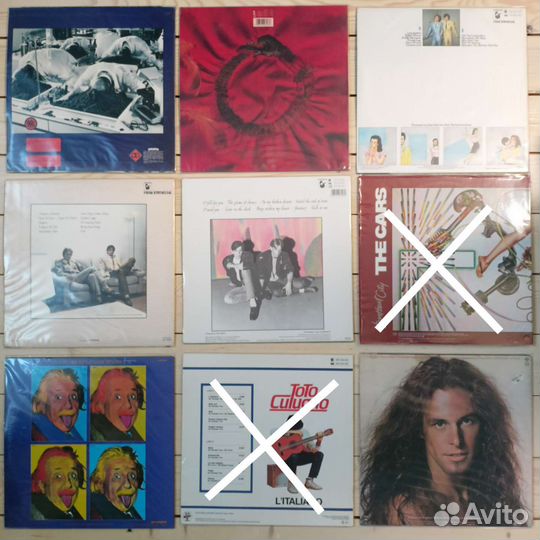 The Alan Person Project, The Twins, Ted Nugent