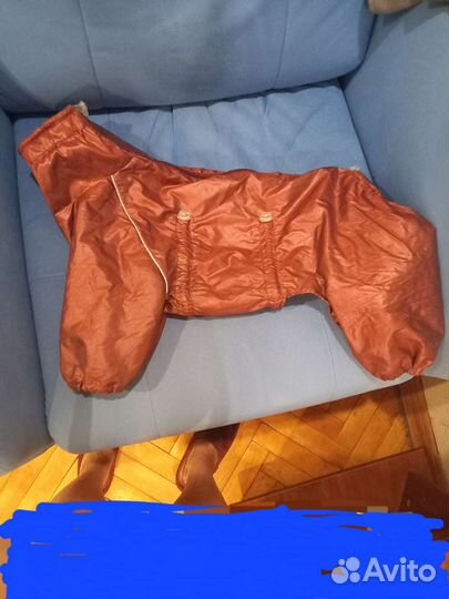 Комбинезон для собак средних пород(на мальчика)