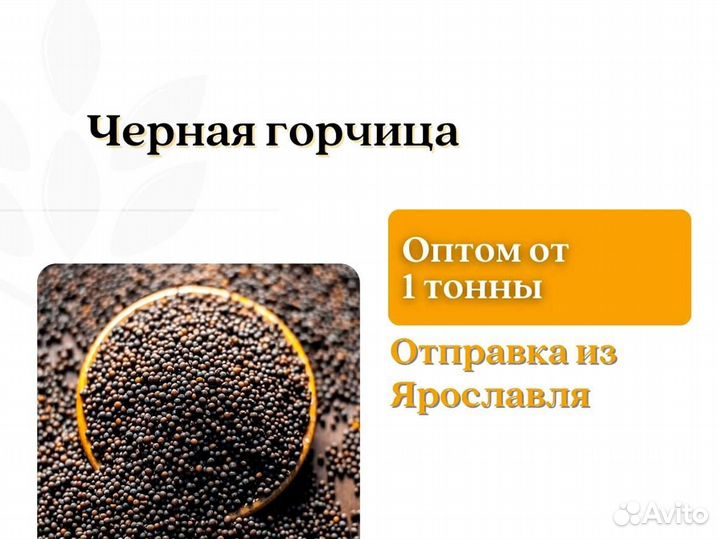 Чёрная горчица (кг)