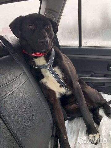 Ласковый ребёнок из приюта ищет семью