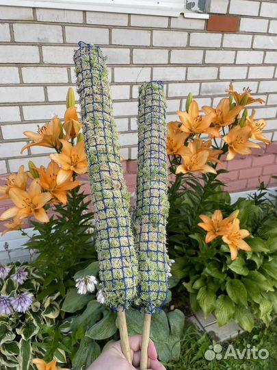 Тотем (опора) для растений