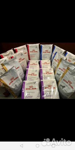 Корм для собак