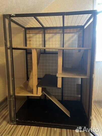 Витрина для шиншилл
