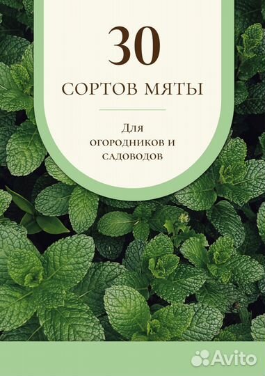 Мята 30 сортов