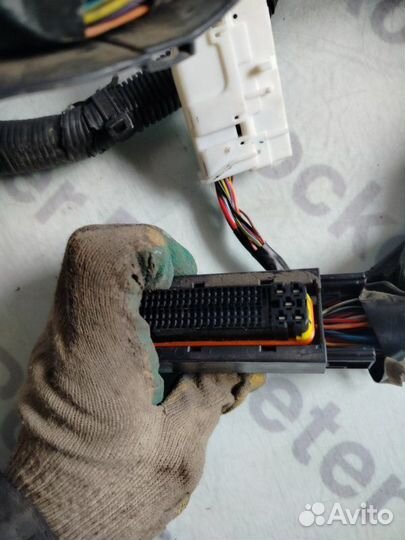 Проводка двс Nissan Fuga 2006