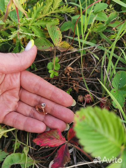Услуги металлоискателя. Поиск потерянных вещей