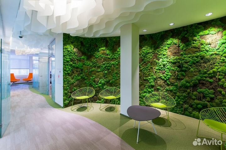 Стабилизированный Мох. Искусственное озеленение