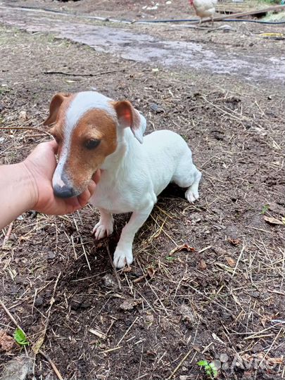 Девочка суперская