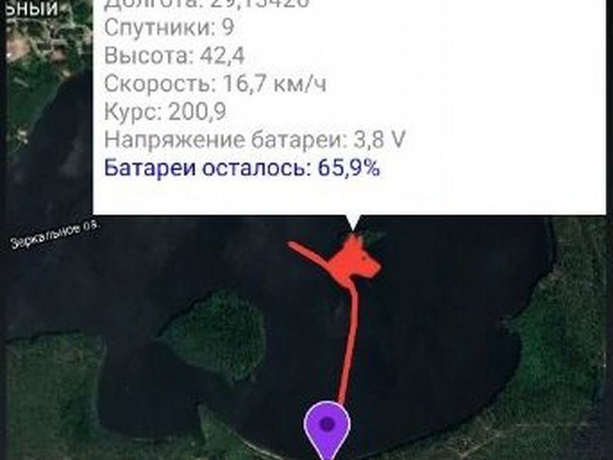 GPS ошейник для собак Hunter 25000 новый в упаковк