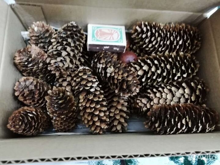 Природные материалы - шишки, каштаны