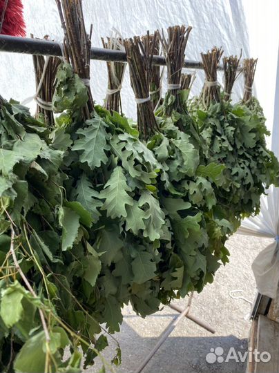 Веники для бани