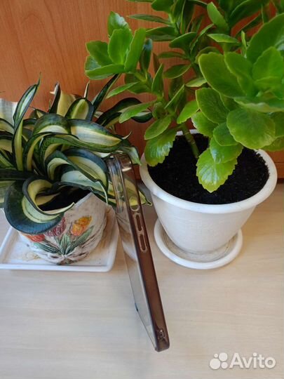 Чехол на iPhone 13 pro поликарбонат