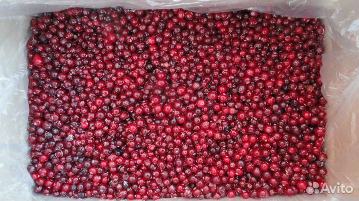 Клюква, брусника, облепиха, малина