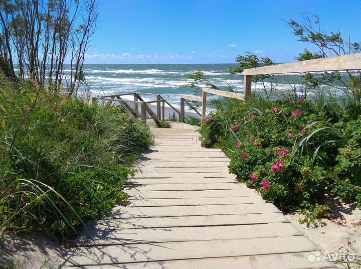 Экскурсия на Куршскую косу