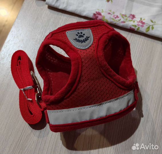 Домашние животные