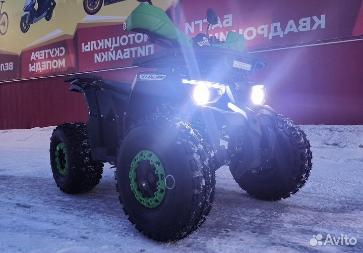 Квадроцикл promax wild 175 LUX
