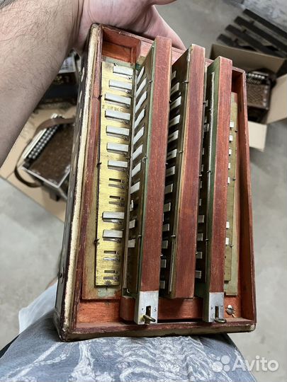 Гармонь Шибаева