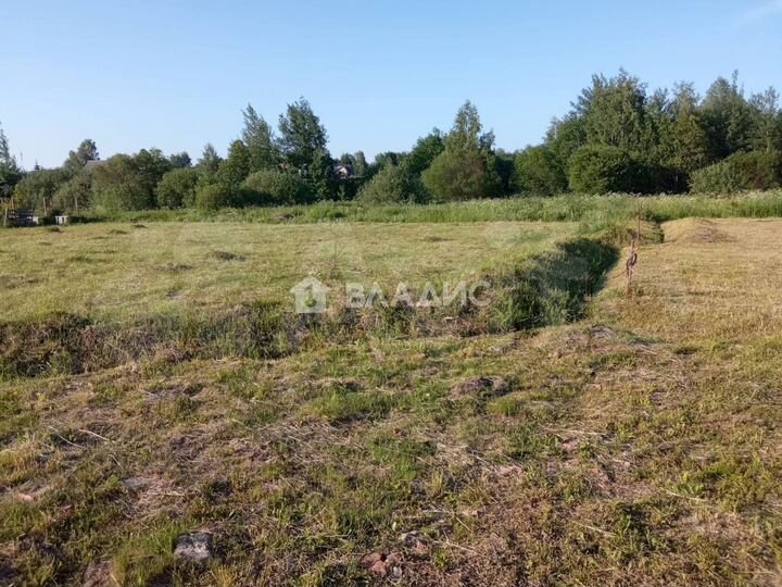 Участок 21 сот. (СНТ, ДНП)