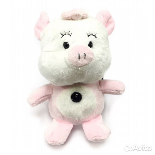 Web-камера agestar