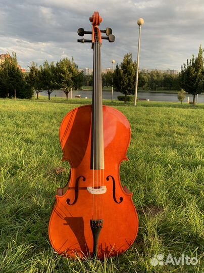 Новая Виолончель Fabio F-019 (4/4)