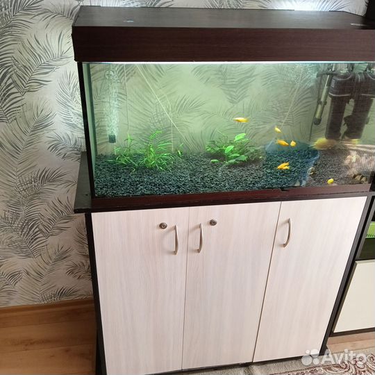 Аквариум с тумбой бу