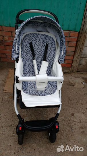 Коляска 2 в 1 Adamex avilo