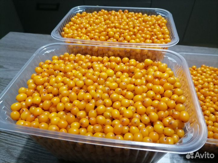 Облепиха свежая