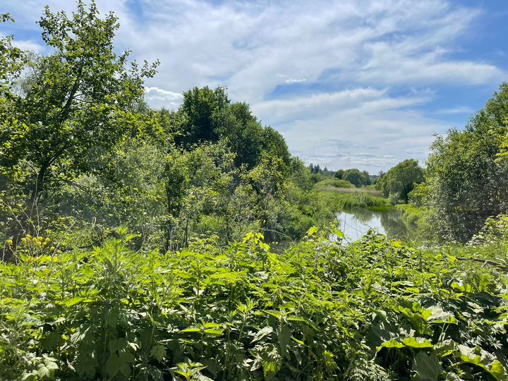 Участок 6 сот. (СНТ, ДНП)