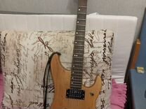 Washburn N2