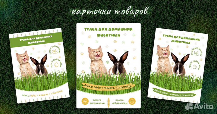 Графический дизайн / веб дизайн