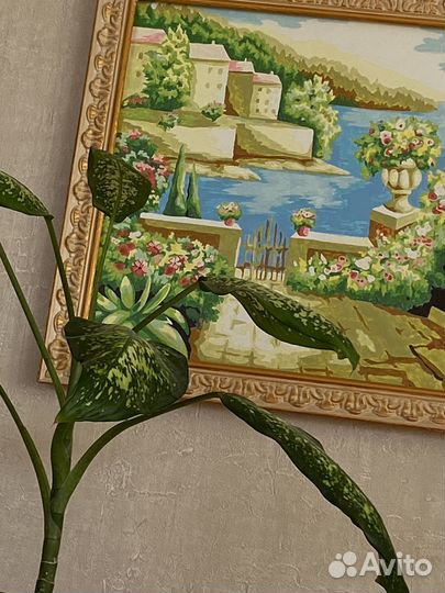 Картина 40/50