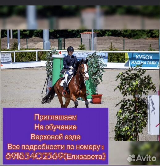 Обучение верховой езде