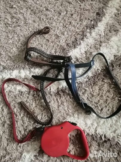 Рулетка ошейник