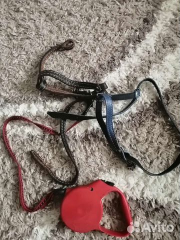 Рулетка ошейник