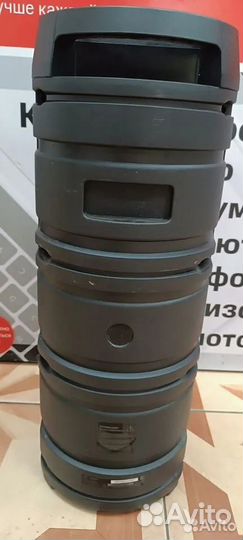 Портативная аудиосистема Fiero Wonder V450