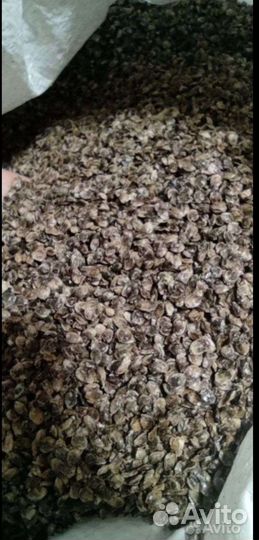 Жмых, корм, комбикорм