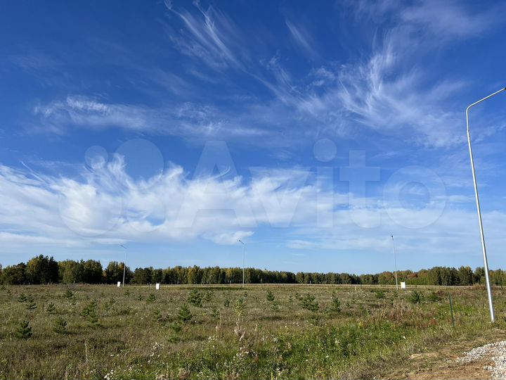 Участок 10 сот. (СНТ, ДНП)