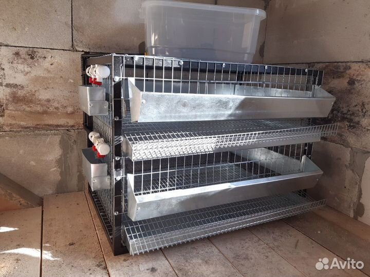 Клетка для перепелов на 50-60 голов