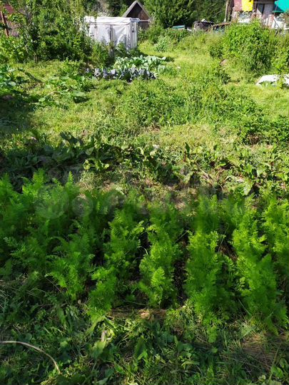 Дача 28 м² на участке 4 сот.