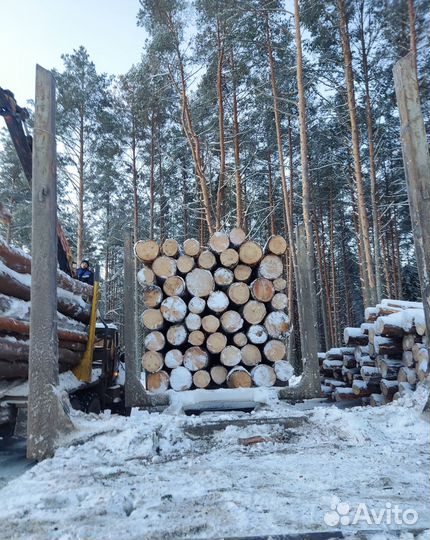 Пиловочник Лес Кругляк