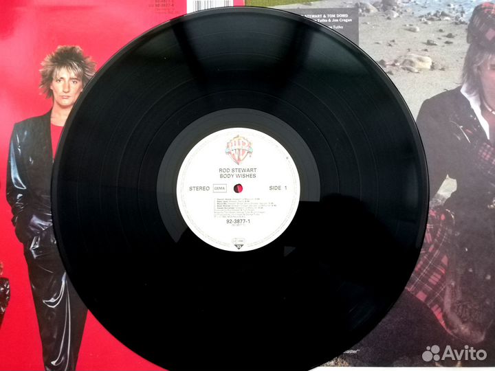 Виниловые пластинки Rod Stewart