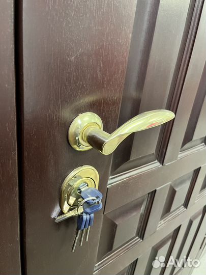 Дверь входная металлическая уличная