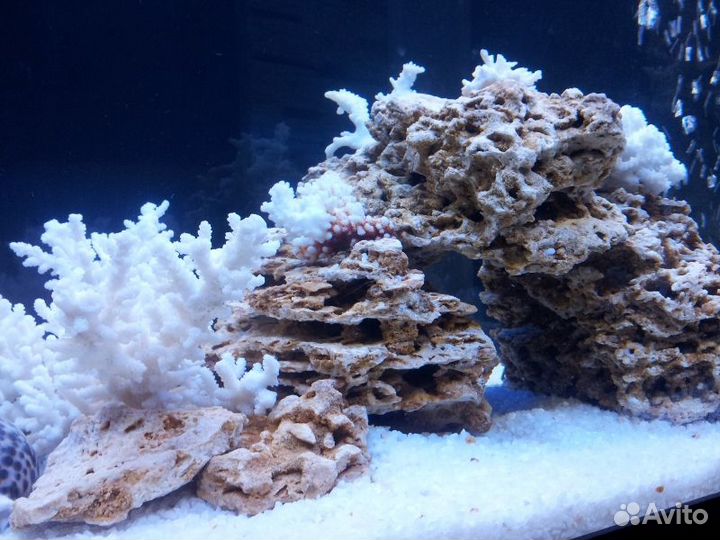 Камни натуральные для аквариума