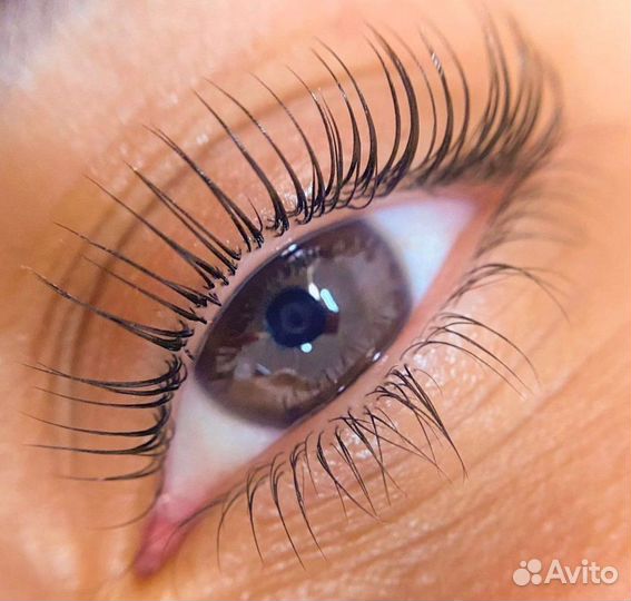 Брови ресницы