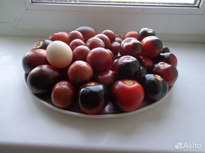 Рассада томатов, перца, баклажан, капусты и т.д