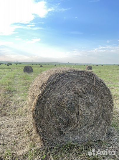 Рулон сена. Тюки