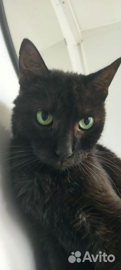 Посмотрите какие глаза